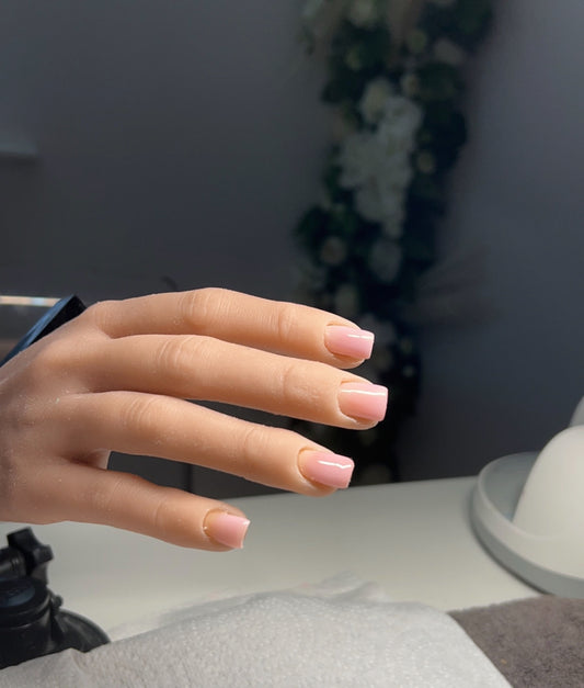 THE ONE DAY UPGRADE COURSE