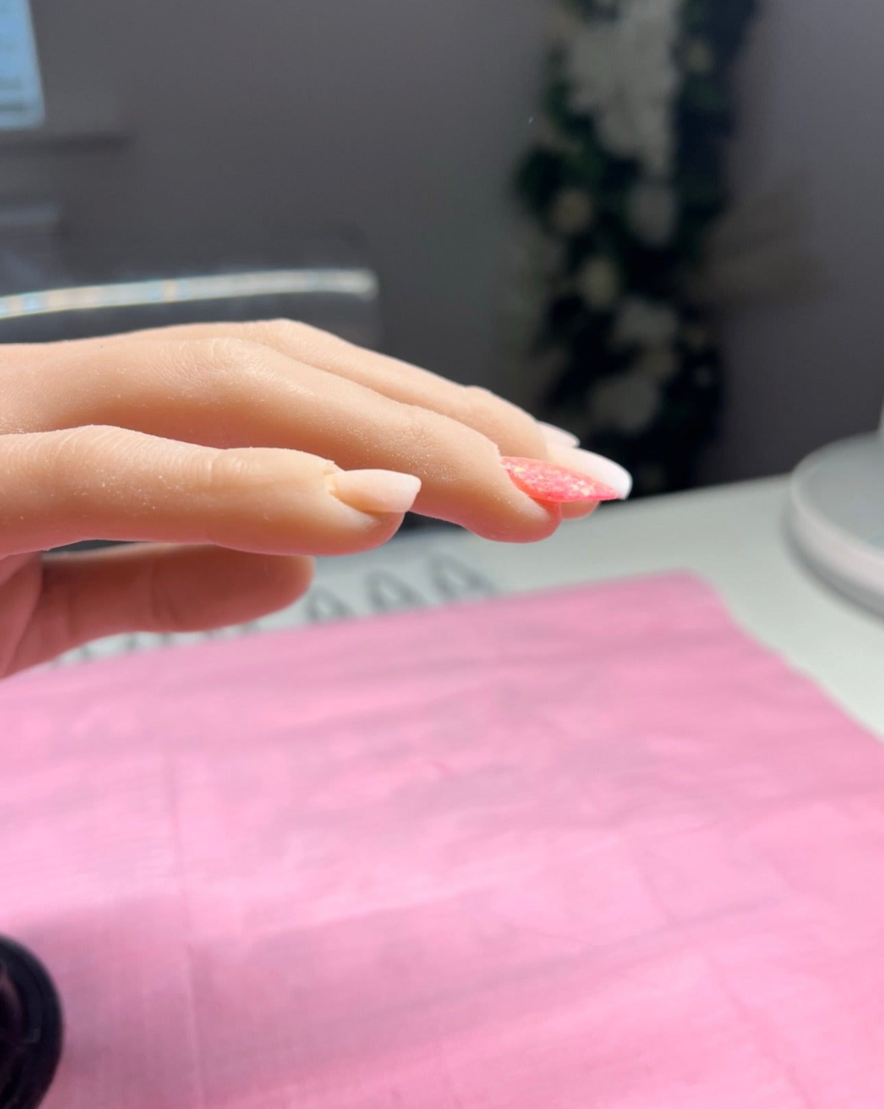 THE ACRYLIC NAIL SYSTEM